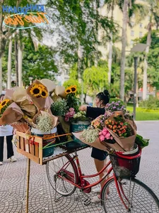 Hanoi Autumn: A Season of Beauty and Economic Opportunity - image 1