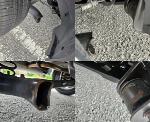 Safety Concerns: Chinese Car Model Bound for Vietnam Suffers Mechanical Failure in Malaysia - image 2