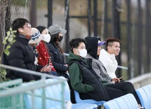 Korean Football Legend Joins Vietnam National Team Coaching Staff - image 0