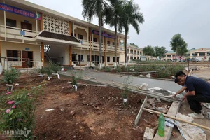Rapid Infrastructure Transformation in Dong Van Commune: A New Era for Rural Nghe An - image 8