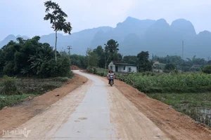 Rapid Infrastructure Transformation in Dong Van Commune: A New Era for Rural Nghe An - image 2