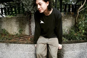 Harry Lu's New Look: The 'Flirting Prince' Returns After 20 Surgeries - image 4
