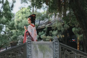 YiTuYu Art Language Vol.7776: Capturing the Grace of Lin Lang - image 7