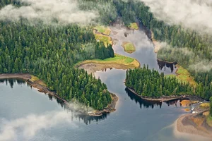 10 Most Breathtaking Ancient Forests Still Standing on Earth - image 10