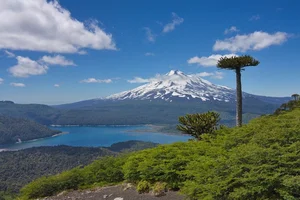 10 Most Breathtaking Ancient Forests Still Standing on Earth - image 9