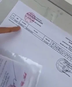 Viral Social Media Highlights: Youthful Mother-in-Law and Inspiring Act of Honesty - image 1