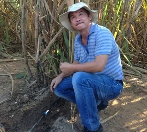 The Surprising Simplicity of Vietnam's Top Billionaires and Business Tycoons - image 3