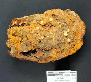 Archeological Discovery: Modern Object Found in Medieval Grave Stuns Experts - image 1