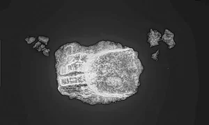 Archeological Discovery: Modern Object Found in Medieval Grave Stuns Experts - image 2