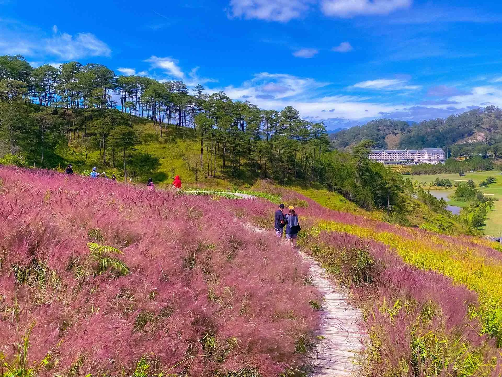 Beautiful Da Lat Wallpapers: Best Full HD Backgrounds for Laptop and PC