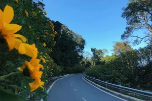 Beautiful Da Lat Wallpapers: Best Full HD Backgrounds for Laptop and PC - image 6