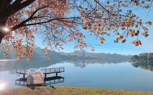 Beautiful Da Lat Wallpapers: Best Full HD Backgrounds for Laptop and PC - image 7