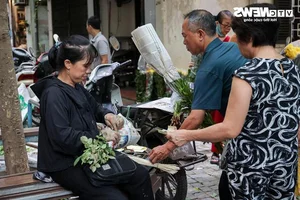 Dragon Boat Festival Economics: Floral Offerings and Rising Cake Prices - image 5