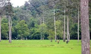 Escape the Heat: 7 Best Travel Destinations Near Saigon for a Cool Retreat - image 0