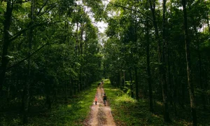 Escape the Heat: 7 Best Travel Destinations Near Saigon for a Cool Retreat - image 11