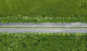 Escape the Heat: 7 Best Travel Destinations Near Saigon for a Cool Retreat - image 5