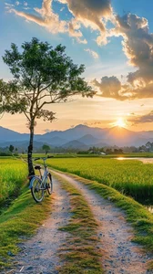560+ Peaceful and Poetic Landscape Wallpapers for Serene Screens - image 10