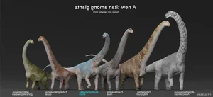 Four Prehistoric Giants Discovered After 90 Million Years - image 7