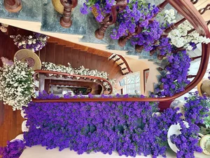 Breathtaking Home Decor: Transforming a Staircase with 150 Bundles of Michaelmas Daisies - image 18