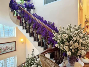 Breathtaking Home Decor: Transforming a Staircase with 150 Bundles of Michaelmas Daisies - image 5