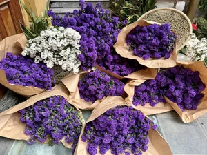 Breathtaking Home Decor: Transforming a Staircase with 150 Bundles of Michaelmas Daisies - image 14