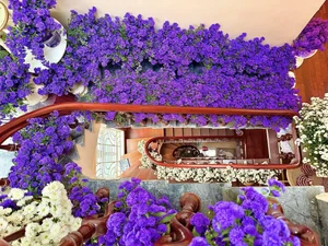 Breathtaking Home Decor: Transforming a Staircase with 150 Bundles of Michaelmas Daisies - image 8