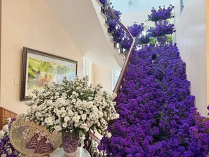 Breathtaking Home Decor: Transforming a Staircase with 150 Bundles of Michaelmas Daisies - image 13