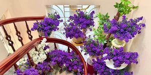Breathtaking Home Decor: Transforming a Staircase with 150 Bundles of Michaelmas Daisies - image 16