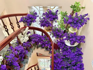 Breathtaking Home Decor: Transforming a Staircase with 150 Bundles of Michaelmas Daisies - image 11