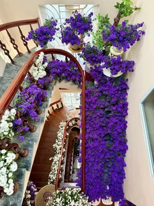 Breathtaking Home Decor: Transforming a Staircase with 150 Bundles of Michaelmas Daisies - image 0