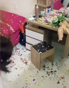 Viral Wedding Prank Sparks Debate: Newlyweds Left Exhausted by Confetti-Filled Room - image 0