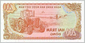 The Mystery of the Rare but Legal Banknote Circulating in Vietnam - image 7