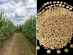 Farmer Unearths Ancient Treasure Worth Over $1 Million in Field - image 1