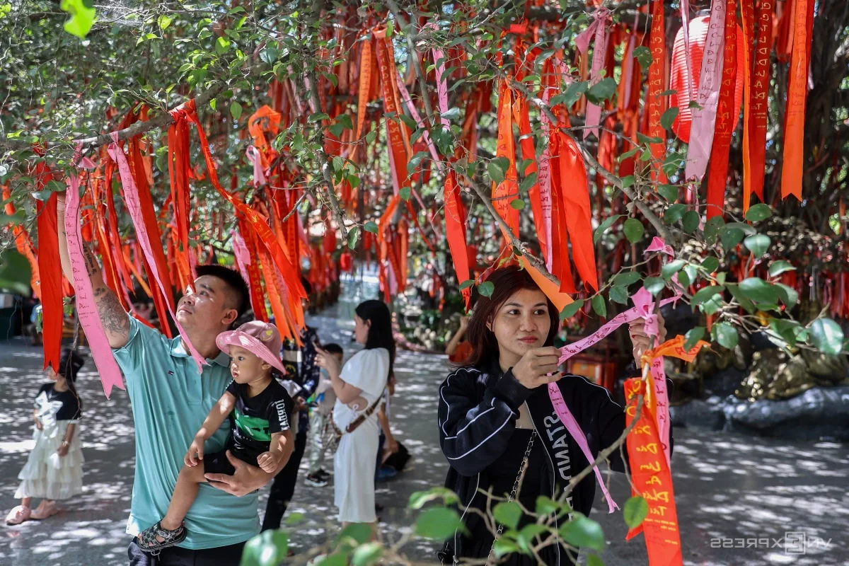 Discover Ho Chi Minh City's Century-Old Wishing Tree Attracting Thousands of Tet Visitors