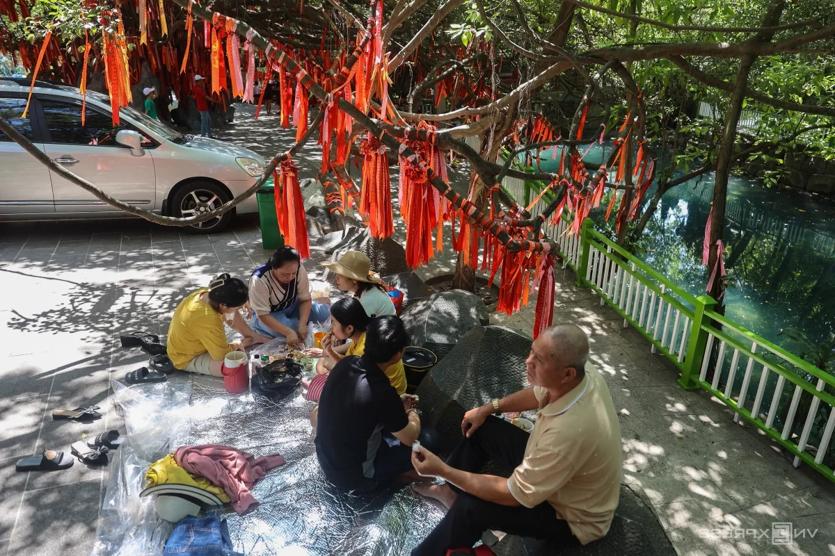 Discover Ho Chi Minh City's Century-Old Wishing Tree Attracting Thousands of Tet Visitors