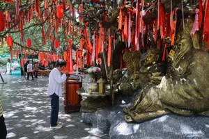 Discover Ho Chi Minh City's Century-Old Wishing Tree Attracting Thousands of Tet Visitors - image 7