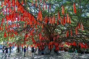 Discover Ho Chi Minh City's Century-Old Wishing Tree Attracting Thousands of Tet Visitors - image 1