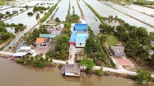 Modernizing Tradition: Inside the Most Advanced 'Ba Khia' Factory in the Mekong Delta - image 5