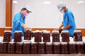 Modernizing Tradition: Inside the Most Advanced 'Ba Khia' Factory in the Mekong Delta - image 1