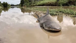 Incredible Wildlife: Discovering Animals That Thrive in the World's Most Extreme Environments - image 3