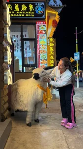Vietnamese Celeb News: Star Travels to US for World Cup & Minh Hang’s Stage Mishap - image 6
