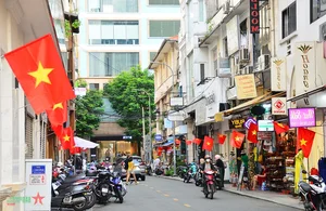 Ho Chi Minh City Streets Glow with Vibrant Colors on National Day - image 17
