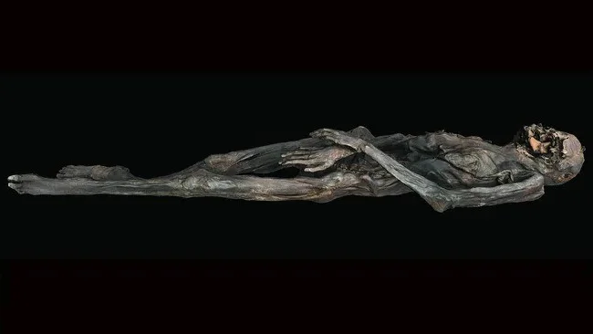 Unveiling the Complex Artistry of a 2,300-Year-Old Tattooed Mummy