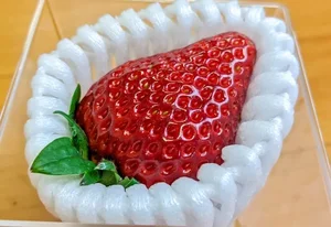 Bijin-Hime: The $350 'Beautiful Princess' Strawberry That Everyone Wants - image 4