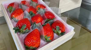 Bijin-Hime: The $350 'Beautiful Princess' Strawberry That Everyone Wants - image 3