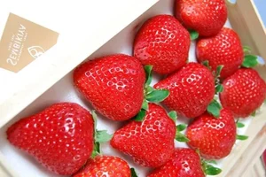 Bijin-Hime: The $350 'Beautiful Princess' Strawberry That Everyone Wants - image 1