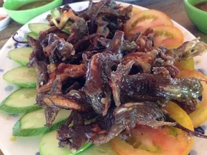 Discover the Rare Mountain Delicacy of Ba Den Mountain Worth Millions - image 3