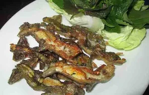 Discover the Rare Mountain Delicacy of Ba Den Mountain Worth Millions - image 1