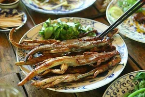 Discover the Rare Mountain Delicacy of Ba Den Mountain Worth Millions - image 0
