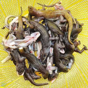 Discover the Rare Mountain Delicacy of Ba Den Mountain Worth Millions - image 9